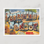 アリゾナ州の石化された森のヴィンテージ ポストカード (正面)