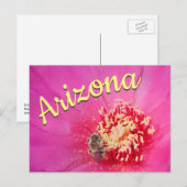 アリゾナ州の絵葉書、ウチワサボテンの花とミツバチ ポストカード (正面/裏面)