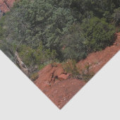 アリゾナ州の赤い岩のパノラマ 薄葉紙 (詳細)