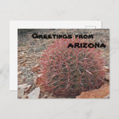 アリゾナ州の赤い樽サボテン工場からの挨拶 ポストカード (正面/裏面)