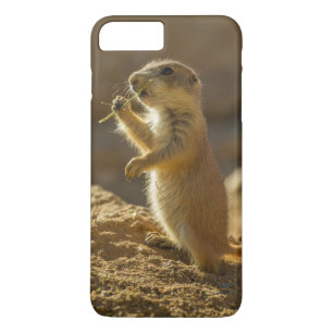 アリゾナ州の赤ちゃんプレーリードッグの食事 iPhone 8 PLUS/7 PLUSケース