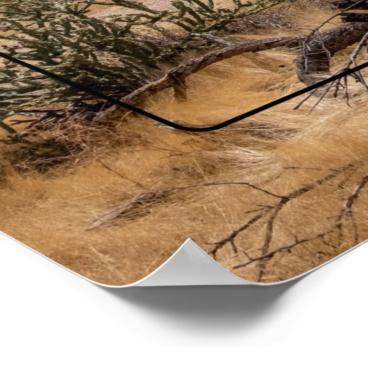 アリゾナ州の迷信の山 ポスター (角)