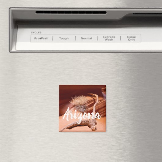 アリゾナ州を探索 マグネット (インサイチュ (食洗機))