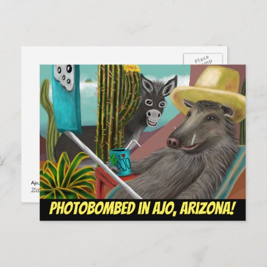 アリゾナ州アホのポストカードで撮影 ポストカード (正面/裏面)