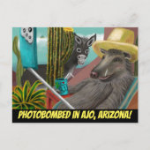 アリゾナ州アホのポストカードで撮影 ポストカード (正面)