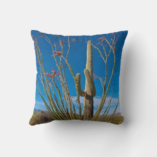 アリゾナ州アメリカサグアロ国立公園のサクタス クッション (裏面)