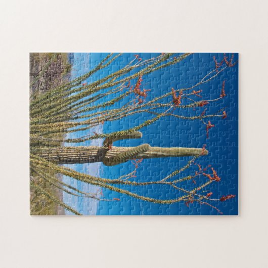 アリゾナ州アメリカサグアロ国立公園のサクタス ジグソーパズル (横)