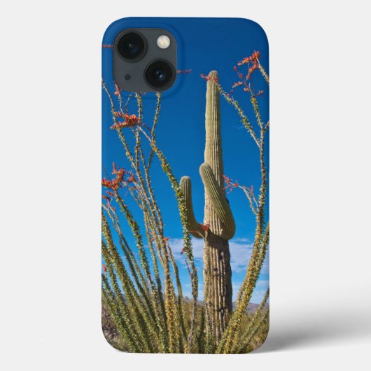 アリゾナ州アメリカサグアロ国立公園のサクタス Case-Mate iPhoneケース (裏面)