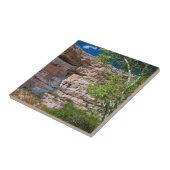 アリゾナ州アメリカモンテズマ城 タイル (側面)