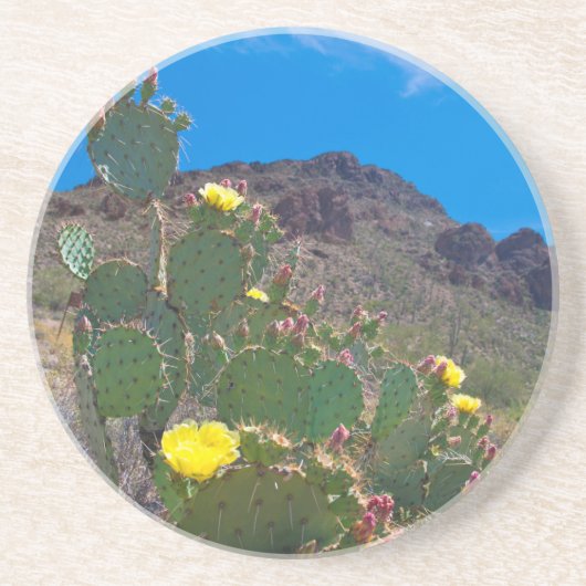 アリゾナ州アメリカ丘の中のサボテン コースター (正面)