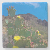 アリゾナ州アメリカ丘の中のサボテン ストーンコースター (正面)