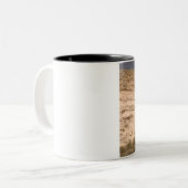 アリゾナ州アメリカ合衆国キャンプヴェルデ:モンテズマ城 ツートーンマグカップ (正面左)