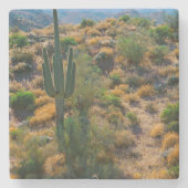 アリゾナ州アメリカ砂漠の景色 ストーンコースター (正面)