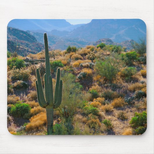 アリゾナ州アメリカ砂漠の景色 マウスパッド (正面)