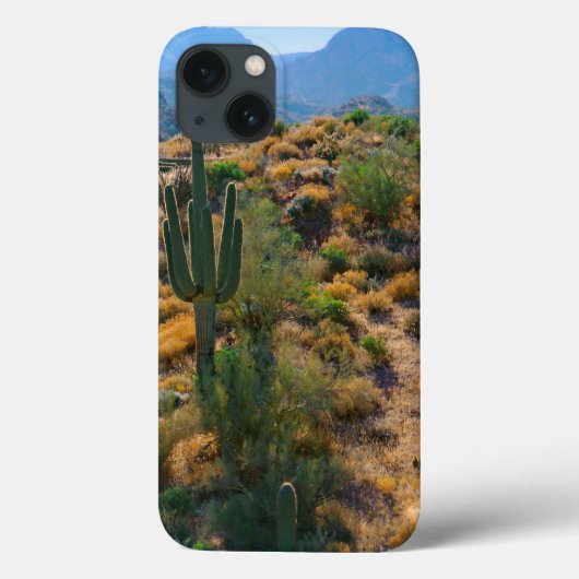 アリゾナ州アメリカ砂漠の景色 Case-Mate iPhoneケース (裏面)