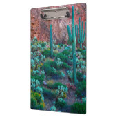 アリゾナ州アメリカ砂漠植物 クリップボード (左)