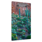 アリゾナ州アメリカ砂漠植物 クリップボード (右)