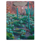 アリゾナ州アメリカ砂漠植物 クリップボード (正面)