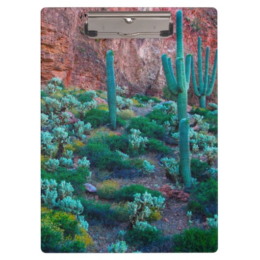 アリゾナ州アメリカ砂漠植物 クリップボード (正面)