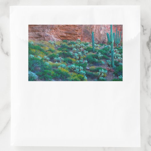 アリゾナ州アメリカ砂漠植物 長方形シール (バッグ)