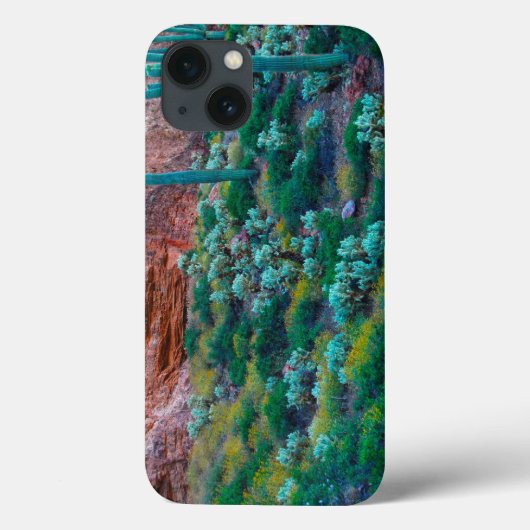 アリゾナ州アメリカ砂漠植物 Case-Mate iPhoneケース (裏面)