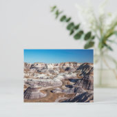 アリゾナ州アメリカ、石化森林国立公園 ポストカード (スタンド正面)