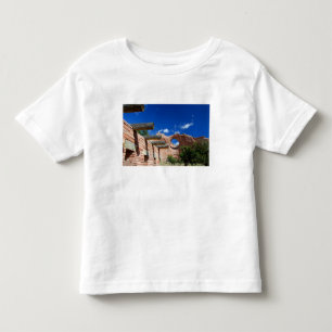 アリゾナ州ウィンドロック。ナバホの首都 トドラーTシャツ