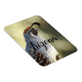 アリゾナ州ウズラ マグネット (右側)