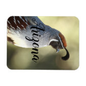 アリゾナ州ウズラ マグネット (横)