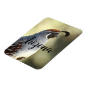 アリゾナ州ウズラ マグネット (左側)