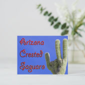アリゾナ州クレステッド相模呂 ポストカード (スタンド正面)