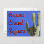 アリゾナ州クレステッド相模呂 ポストカード (正面/裏面)