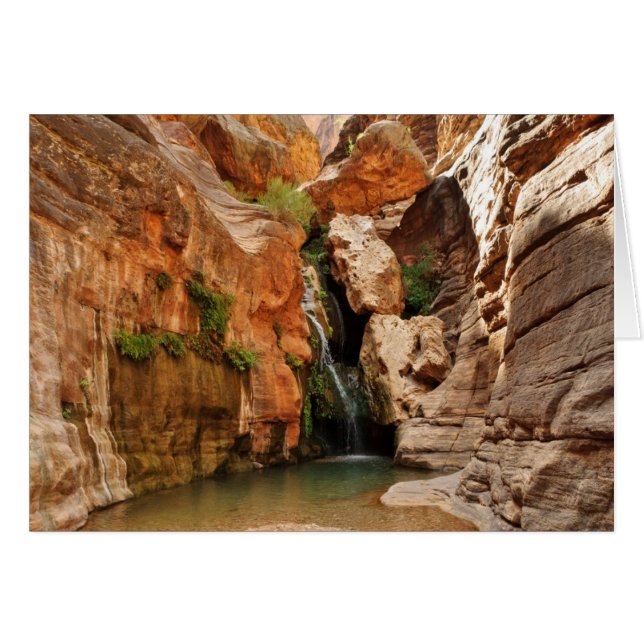 アリゾナ州グランドキャニオン国立公園 (正面横)