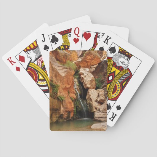 アリゾナ州グランドキャニオン国立公園 トランプ (裏面)