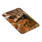 アリゾナ州グランドキャニオン国立公園 マグネット (右側)