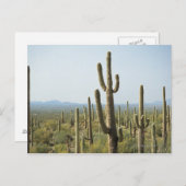 アリゾナ州サグアーロ国立公園サボテン2 ポストカード (正面/裏面)