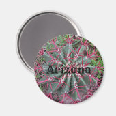 アリゾナ州サボテン写真赤いバレル砂漠の植物 マグネット (正面/裏面)