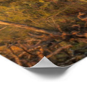 アリゾナ州サンセットにあるサグアーロ ポスター (角)