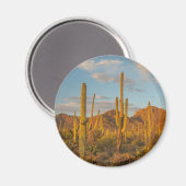 アリゾナ州サンセットにあるサグアーロ マグネット (正面/裏面)