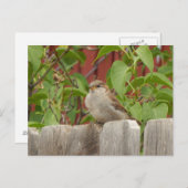 アリゾナ州スファローフィールド旗竿 ポストカード (正面/裏面)