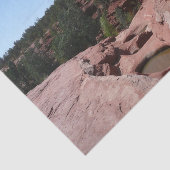 アリゾナ州セドナにある7つの神聖なプール 薄葉紙 (詳細)