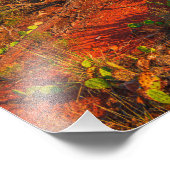 アリゾナ州セドナのベルロック写真プリント フォトプリント            (角)