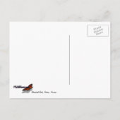 アリゾナ州セドナの蒸気船ロック写真 ポストカード (裏面)