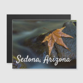 アリゾナ州セドナの金ゴールドの葉 (正面/裏面)