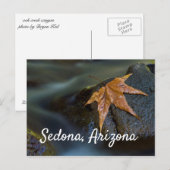 アリゾナ州セドナの金ゴールドの葉 ポストカード (正面/裏面)