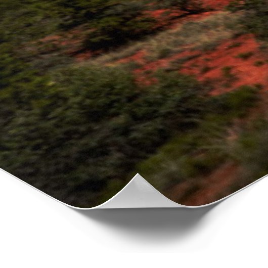 アリゾナ州セドナ上空のムーンライト ポスター (角)