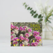 アリゾナ州ソノラン砂漠開花のカラムサボテン ポストカード (スタンド正面)