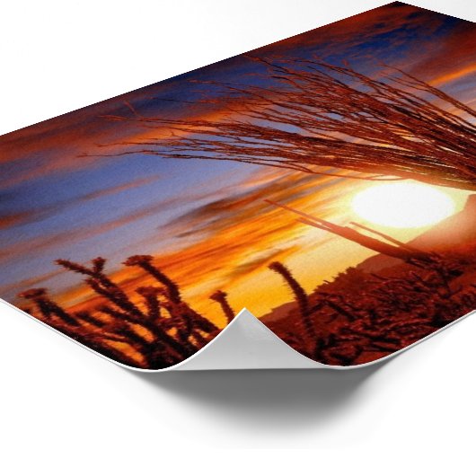 アリゾナ州ソノラ砂漠 ポスター (角)