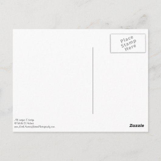 アリゾナ州ツーソンからの挨拶♥はがき ポストカード (裏面)