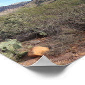 アリゾナ州ツーソンのサボテンとカタリナ山脈 ポスター (角)